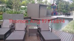 Fifteen Robin (D10), Condominium #88390812